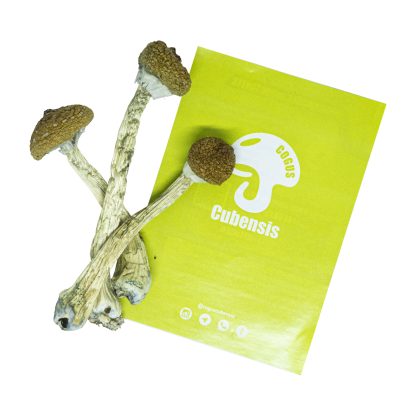 TeonanacatlShop - Onde comprar cogumelo magico com garantia de entrega.