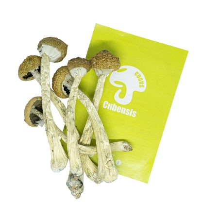TeonanacatlShop - Onde comprar cogumelos alucinógenos com garantia de entrega.